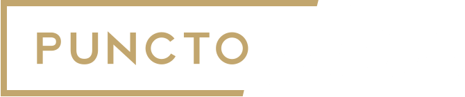 PUNCTOPLAN Logo